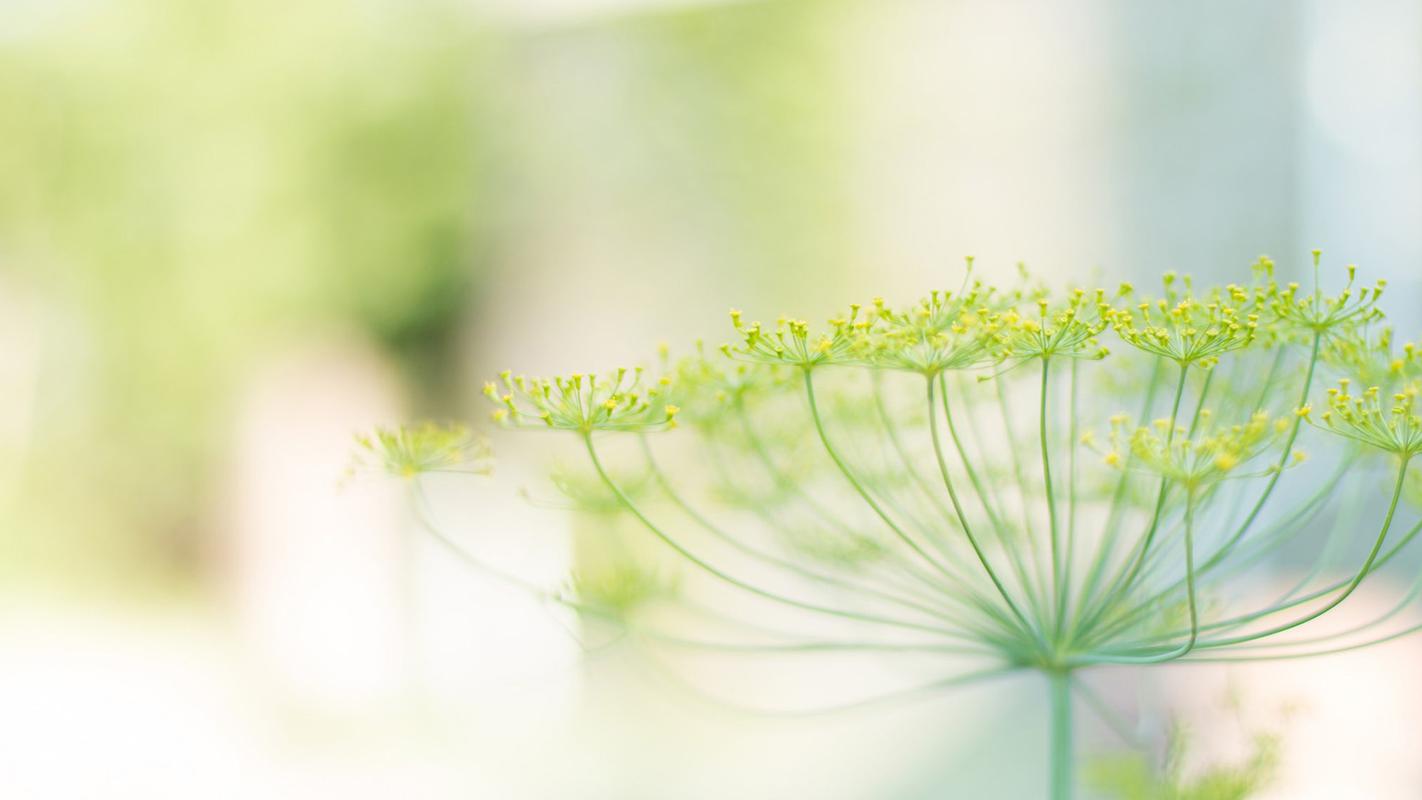 《钟曦薄凉辰顾时峥》在线阅读~精品小说