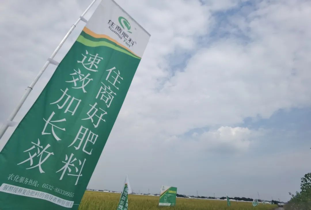 住商肥料"脲醛 ":"省心"肥助力和县水稻增产增收