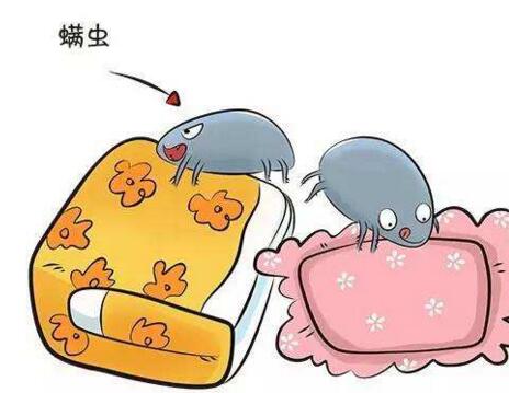 螨虫怕的是什么?教你床上放一些"它,干净又卫生,一起来看看