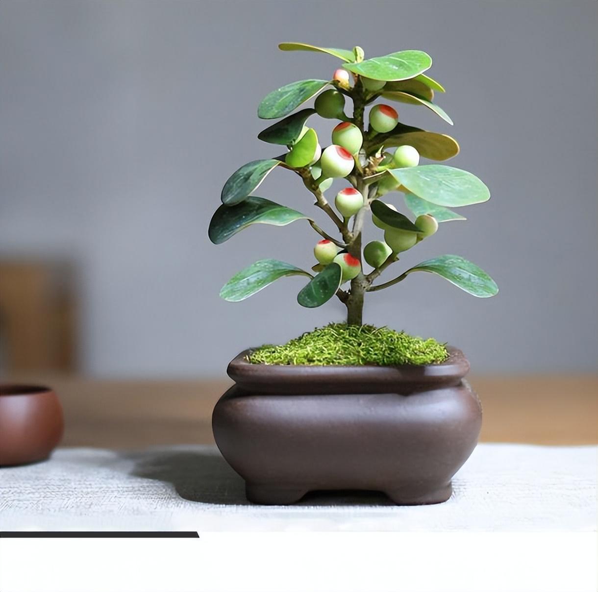 大自然当中的一草一木都是有生命的,虽然和我们人类不同,不会说话,不