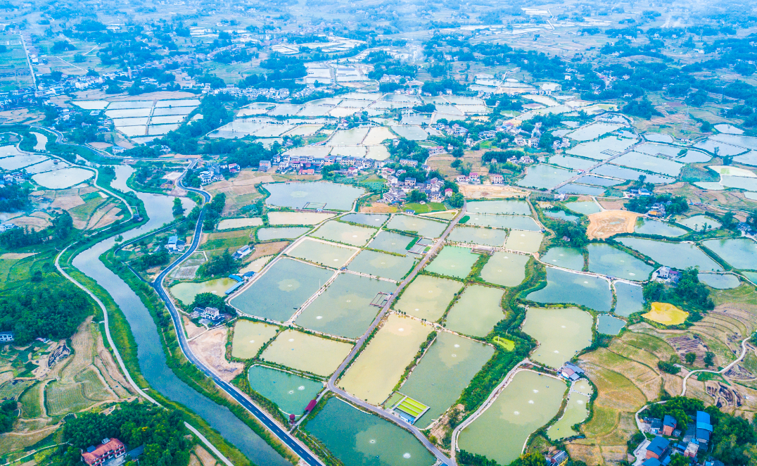 豆筋加工—水产养殖循环农业示范基地和