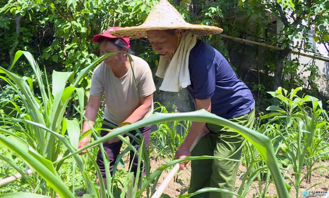 杨继武:有共产党的培养 才有我的今天