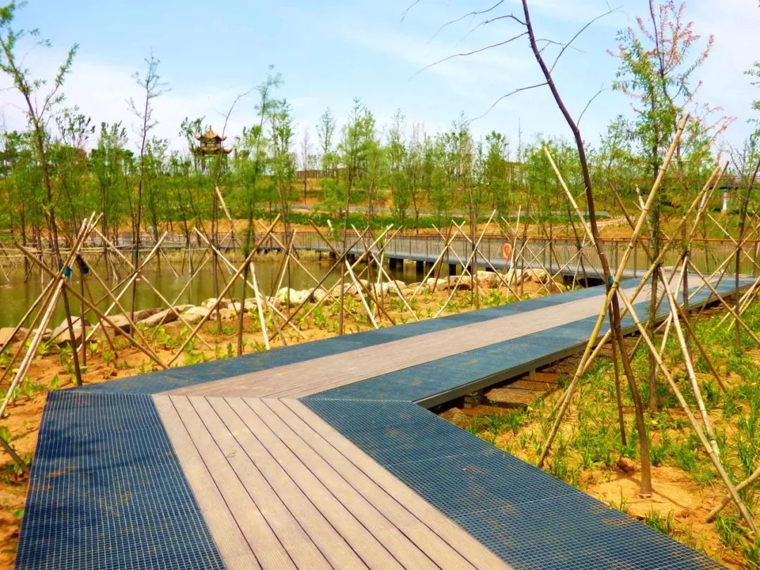 上蔡这个公园景色爆表!42张图片带你一睹为快