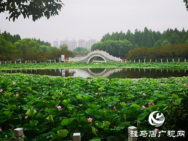 驻马店市置地公园图片