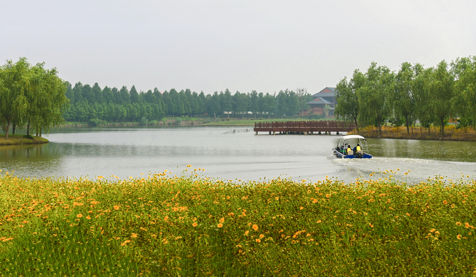 陈海量摄影作品欣赏——海安里下河风光