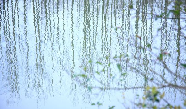 杨万里这首《伤春》很显然被低估了,也是难得的佳作,写得很感人