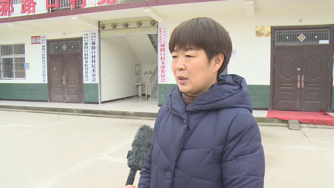 临颍:杜曲镇郝路口村建起了乡贤馆木业史馆,丰富了群众文化生活