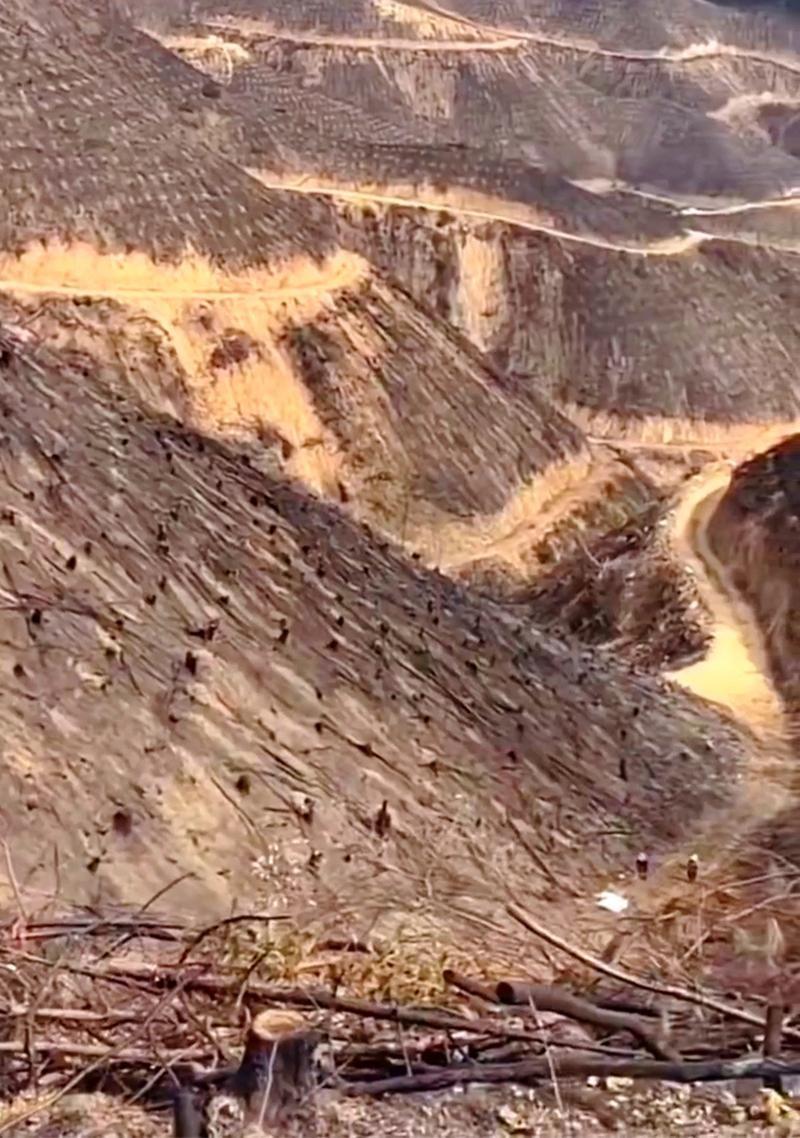 回顾专家被打脸水稻上山水土流失成笑话一片狼藉是谁的责任