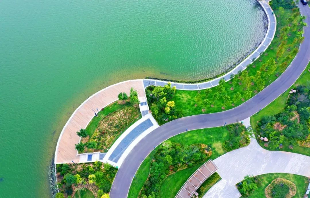 震撼!濮阳龙湖"生态画廊"一派江南好风光!