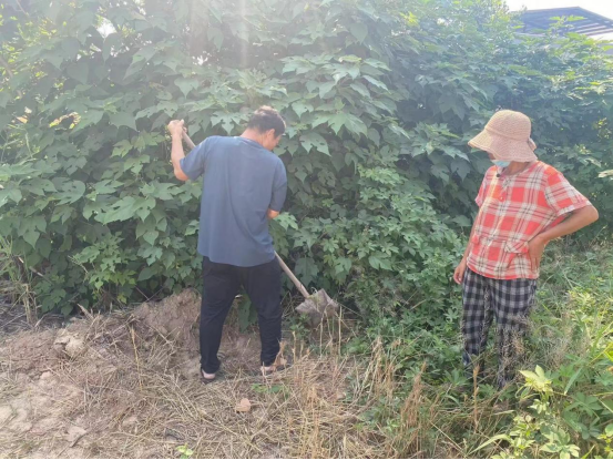 砀山县朱楼镇:老有所为勤奉献 人居环境焕新颜