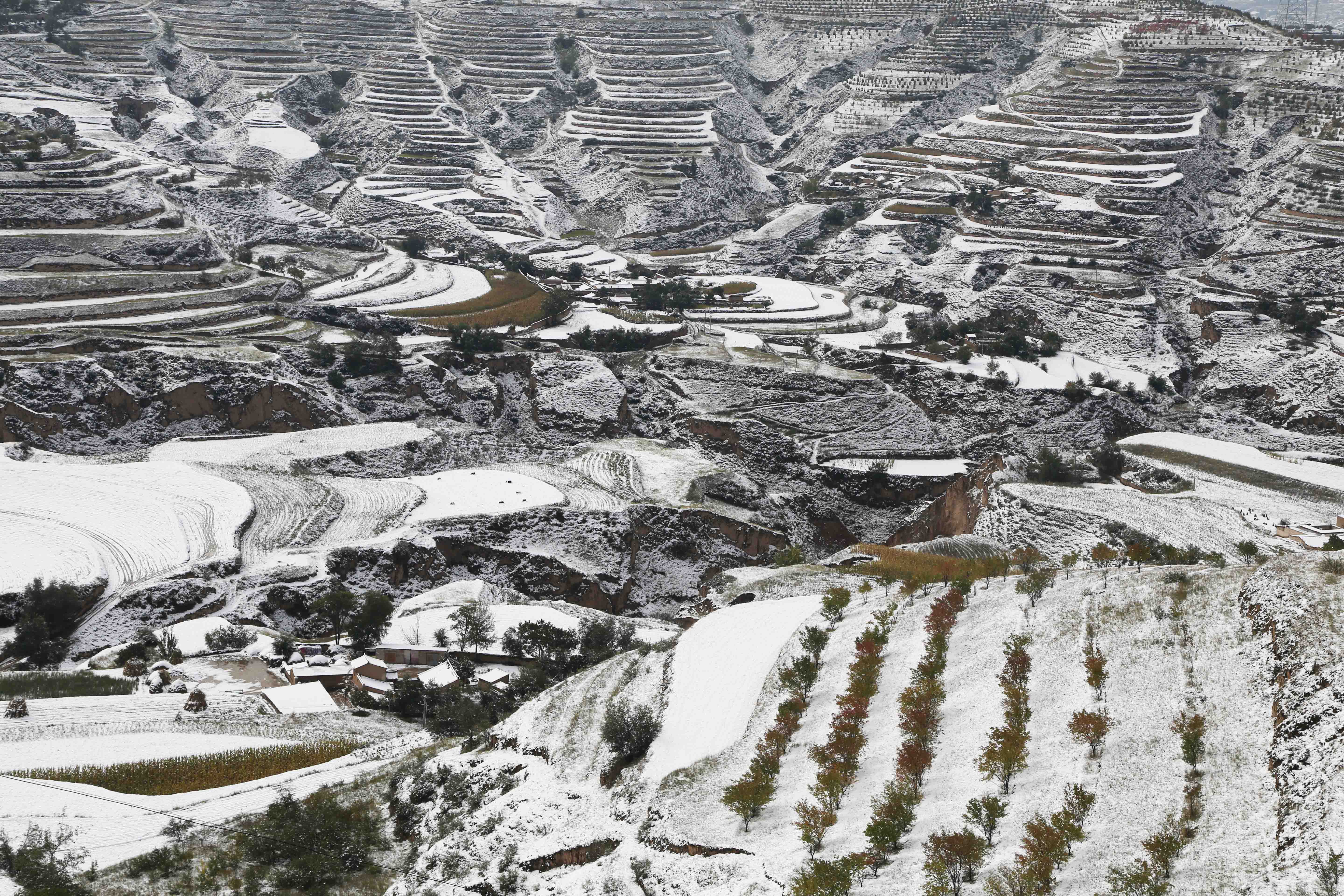 甘肃农村雪景图片图片