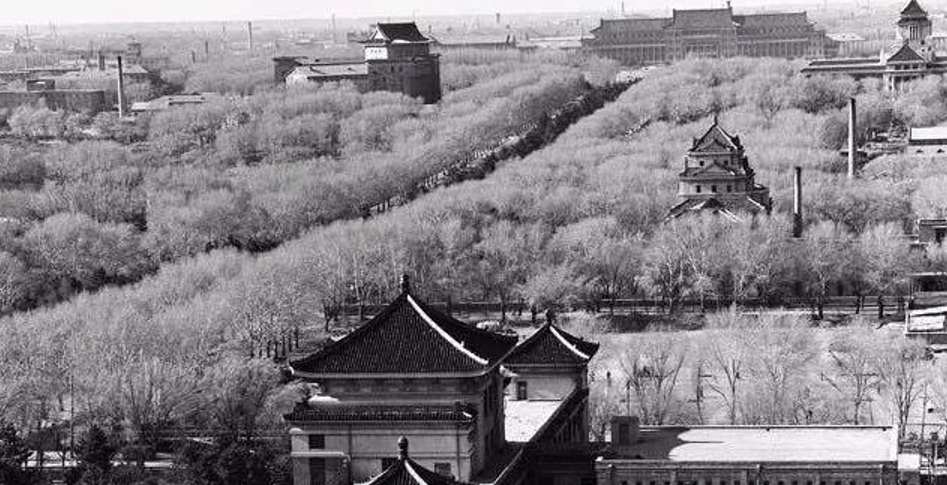 曾经的长春黑道大哥小贤,出殡时撒真钱了吗