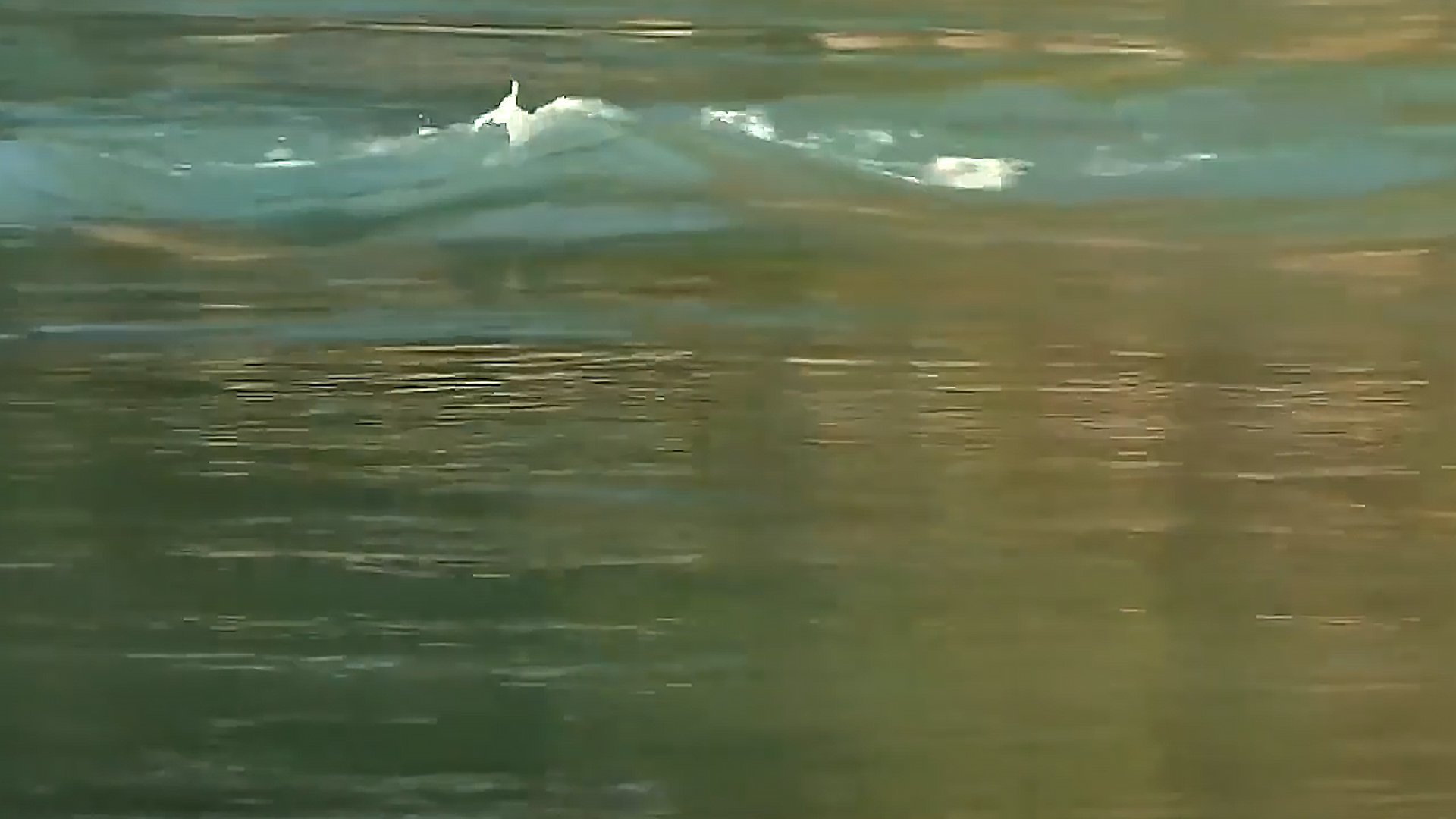 网友在新疆喀纳斯湖,拍到不明"水怪"清晰照片,它究竟是什么?