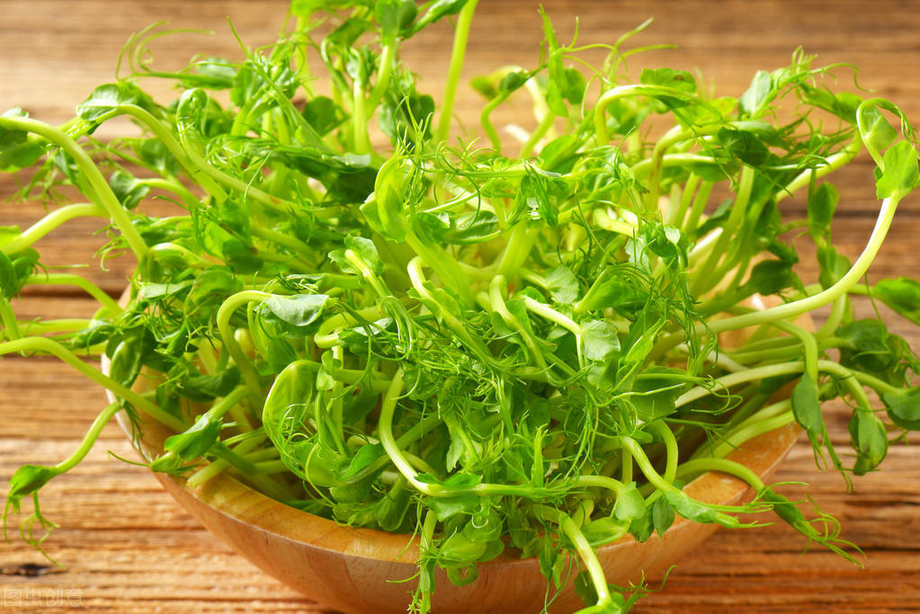 春季养肝,建议多吃5种"芽菜",好吃护肝,宁可不吃肉也不错过