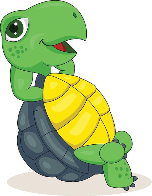 室内养龟晒台一二三