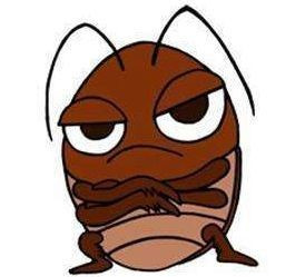 九成人不明白蟑螂"天敌"是啥:房间之中放上它,蟑螂都"消失"了