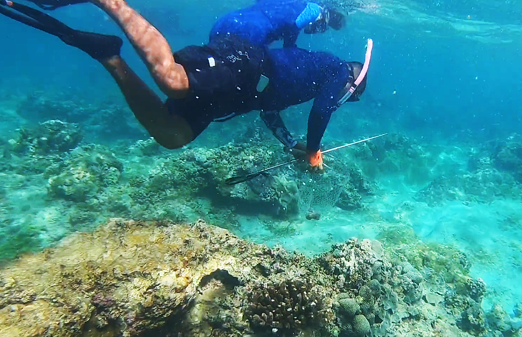 西沙群岛的美景 赶海图片