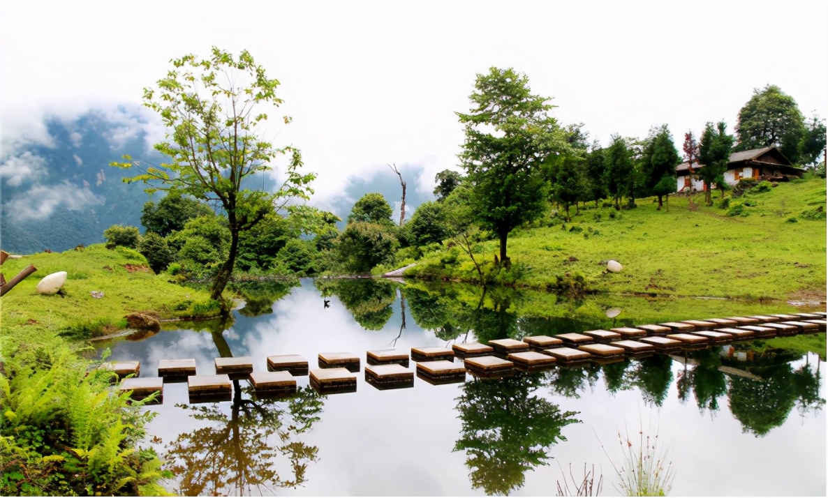 迎接春天最好的仪式——来黑竹沟大口吸"氧"吧