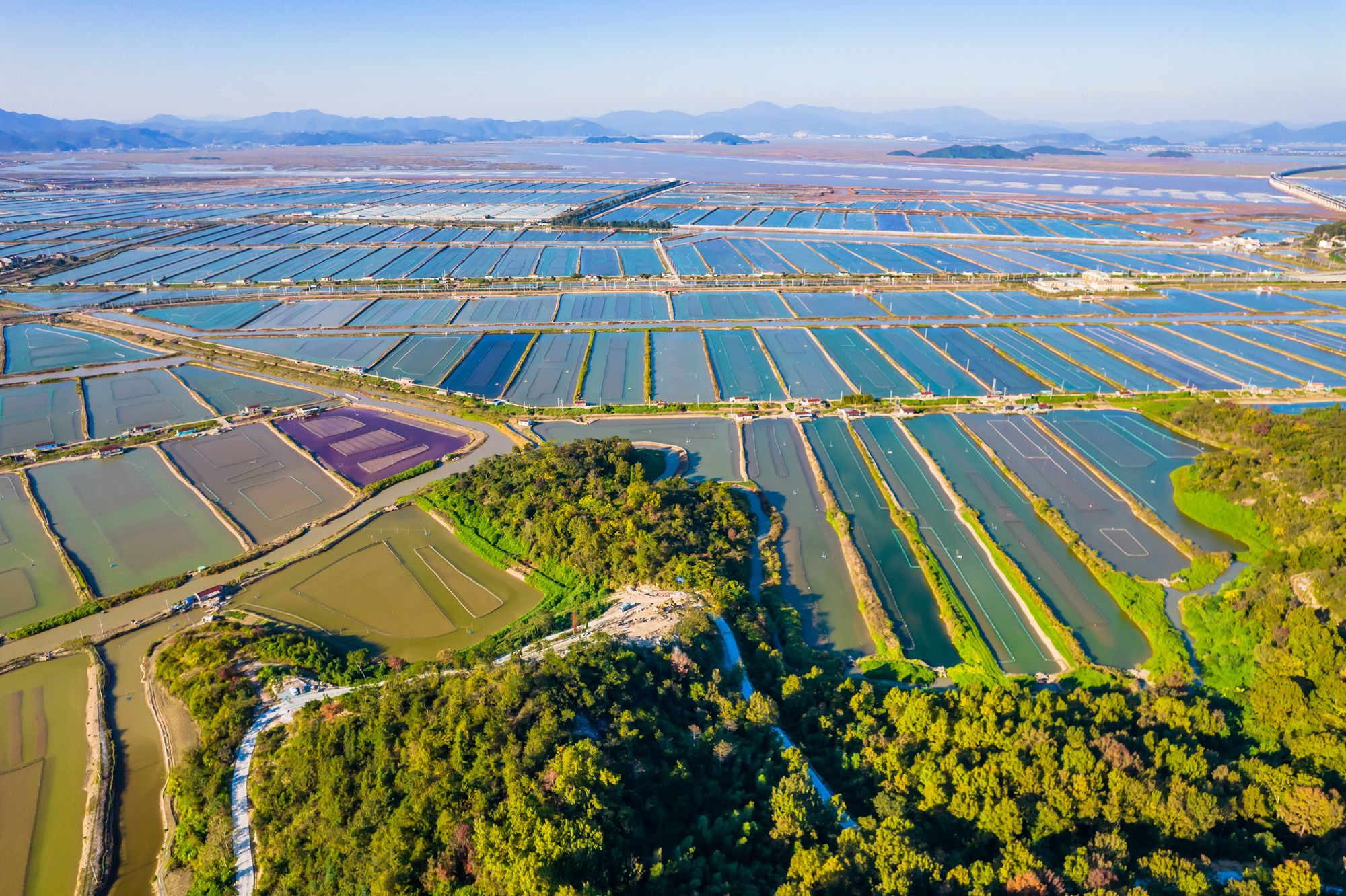 三门县蛇蟠岛风景区图片