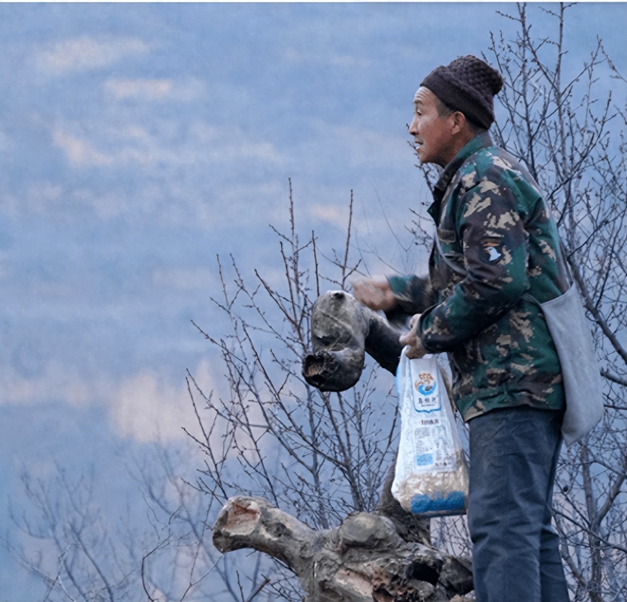 老人误把2只"国鸟"当凤凰,养了4年变40只后,专家建议上交国家