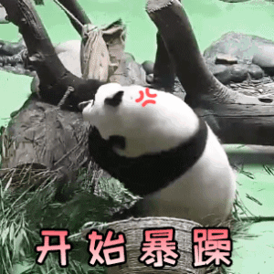 300_300gif 动态图 动图