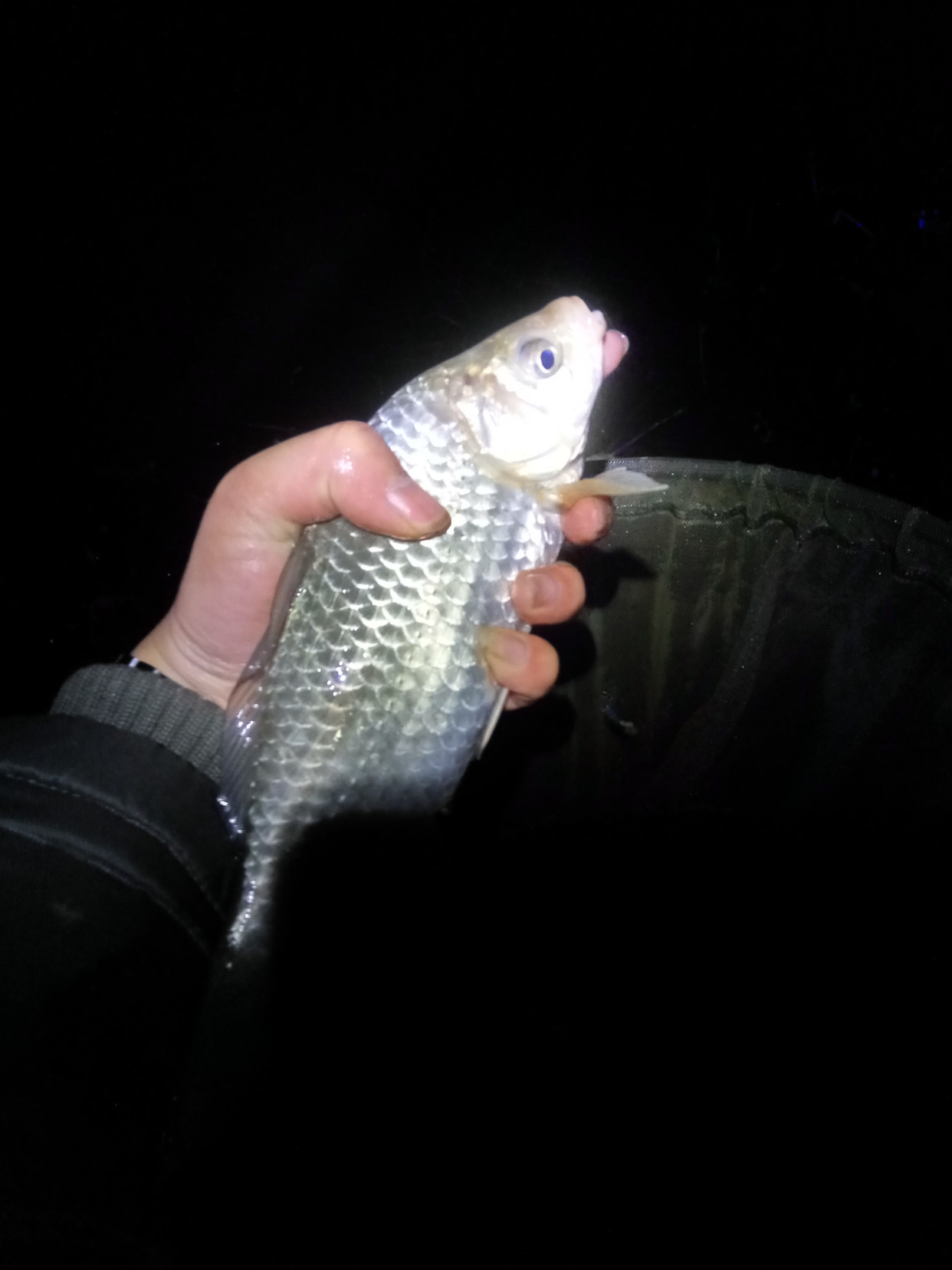 不过,到了晚上,这一系列闹心的事就没有了.