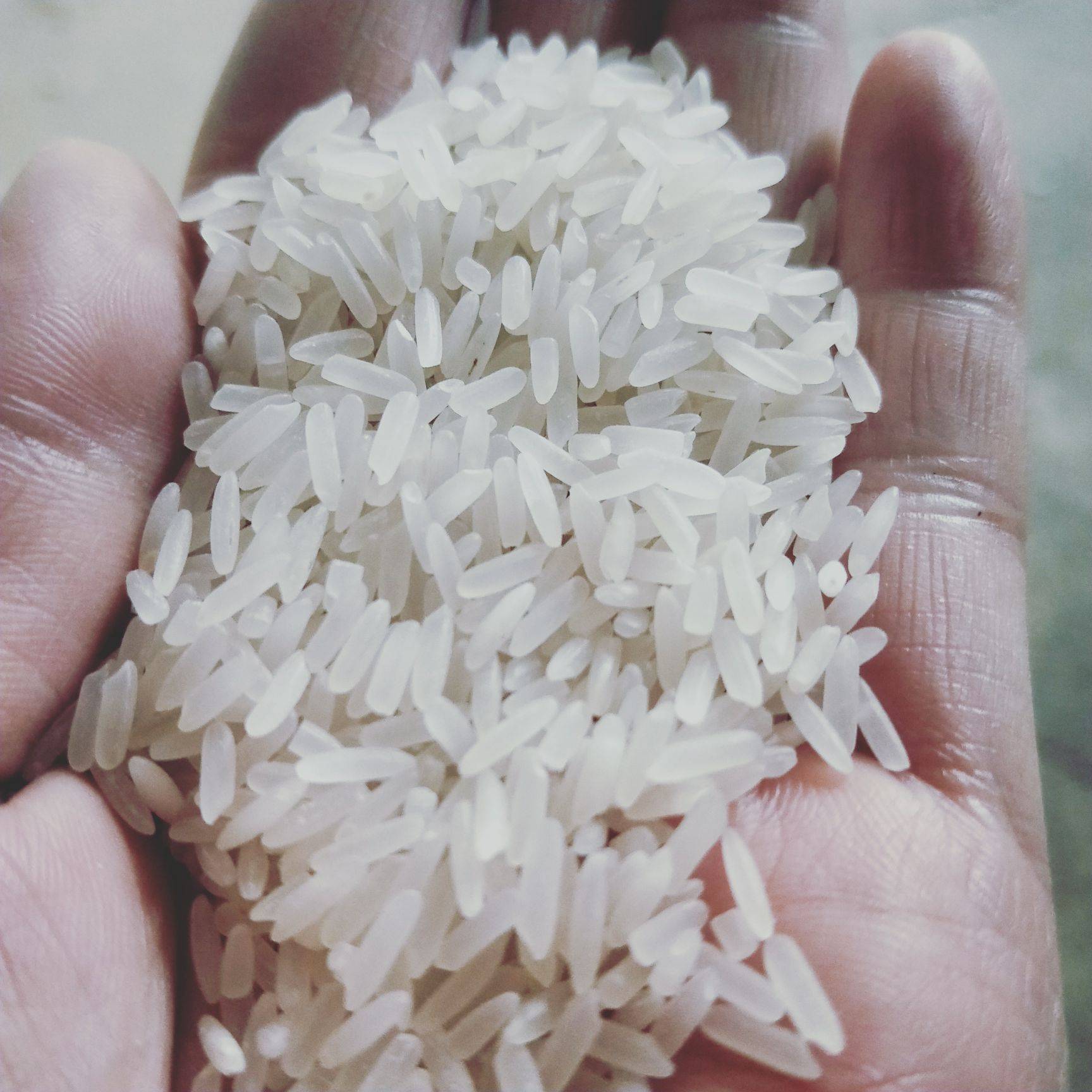 猫牙米,形状像猫的牙齿,因此得名.@食味菜谱的动态