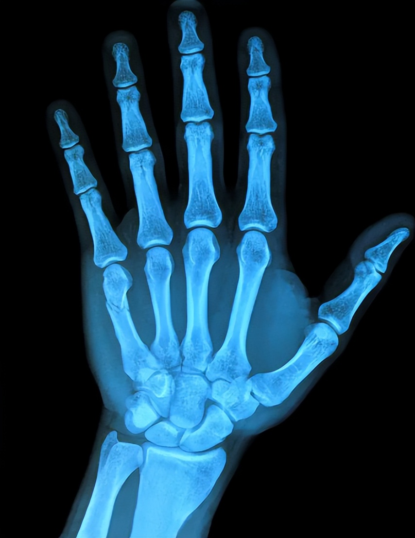 真实故事:2015年,安徽一桩荒诞的家庭纠纷案