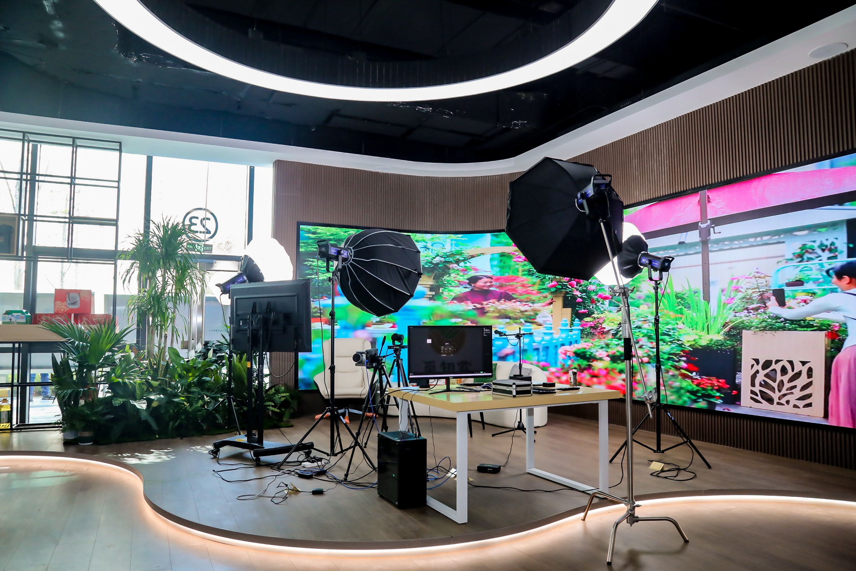 武汉蔡甸直播电商孵化基地启动运营 推广农特产品与全域旅游资源