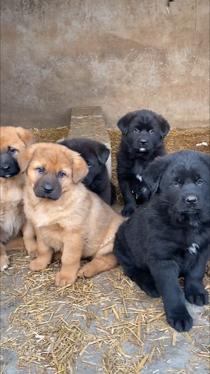 不动产登记与物权华体会- 华体会体育官网- 华体会体育APP下载的确认和保护