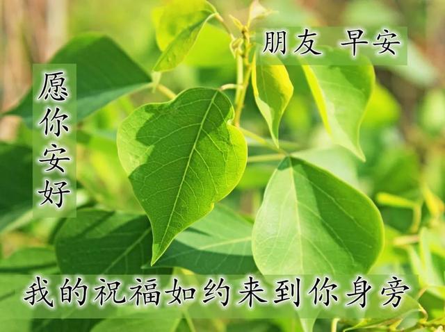 早安正能量阳光短句 早上好高清图片