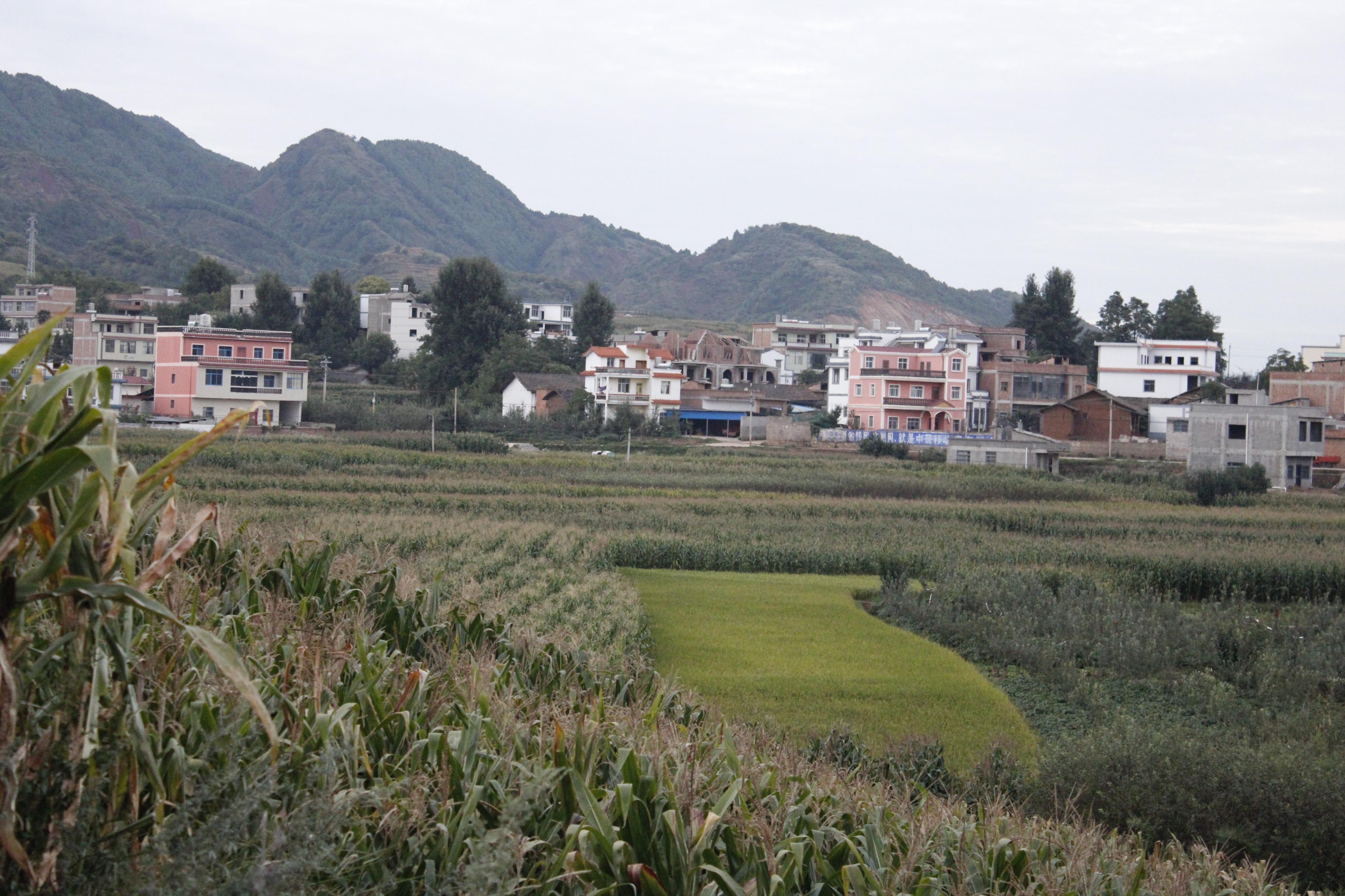 云南昭通:乐居坝子风光美