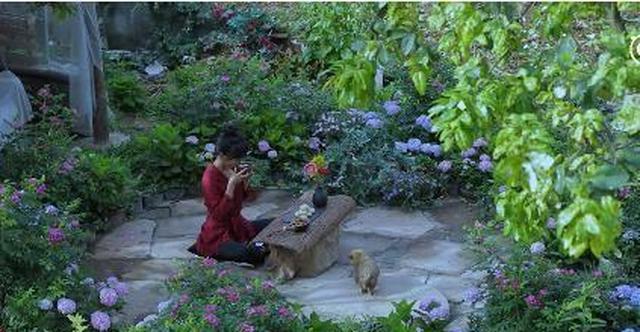 时隔2年多,再回"李子柒"的院子,发现"人间仙境"不太真实