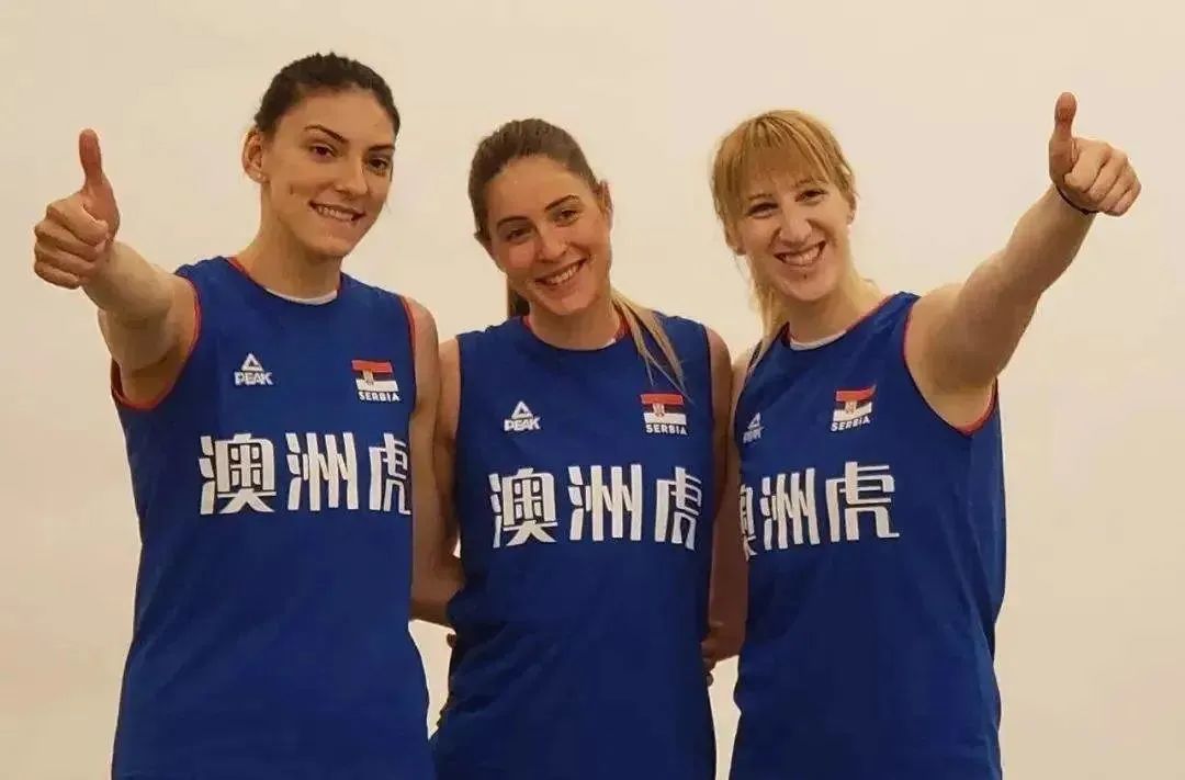 由澳洲虎赞助的塞尔维亚女排公布世锦赛14人名单 博斯科维奇领衔