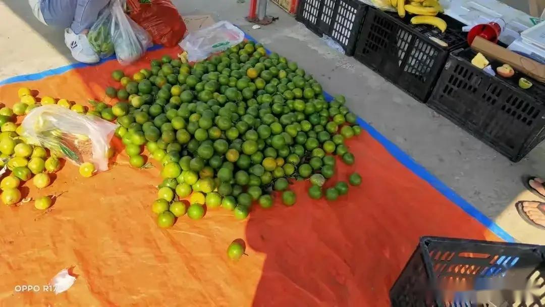 标题卖水果除了进货成本外还需要了解顾客的心理