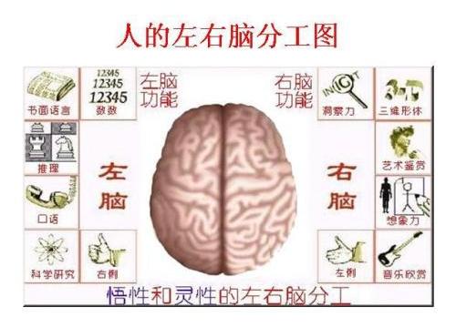 右脑发达的孩子,多半有这3个"学霸"特征,学习更是轻轻松松