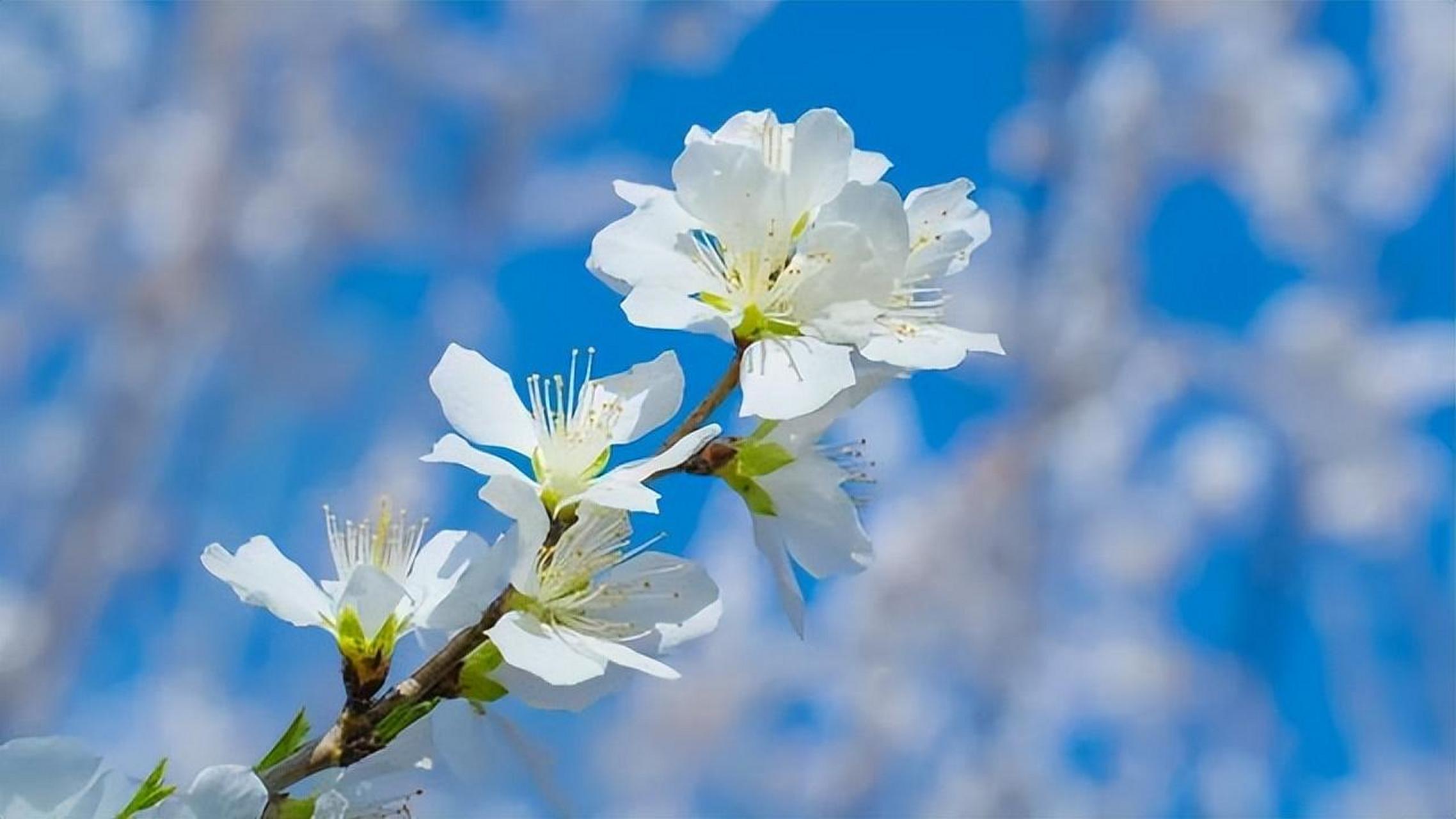 人活一辈子,要学会清醒一点,不要总想着去管别人的事情,也别想着去