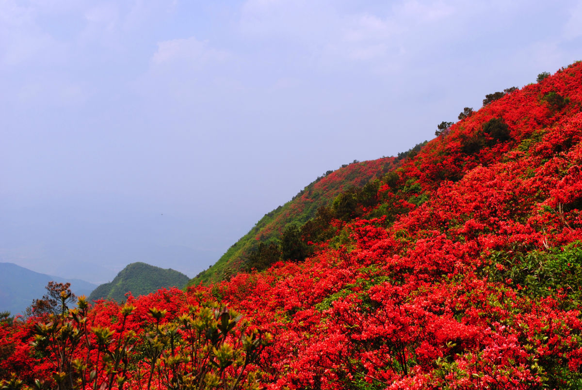 神秘古老的武汉江夏龙泉山,还心灵一片净土