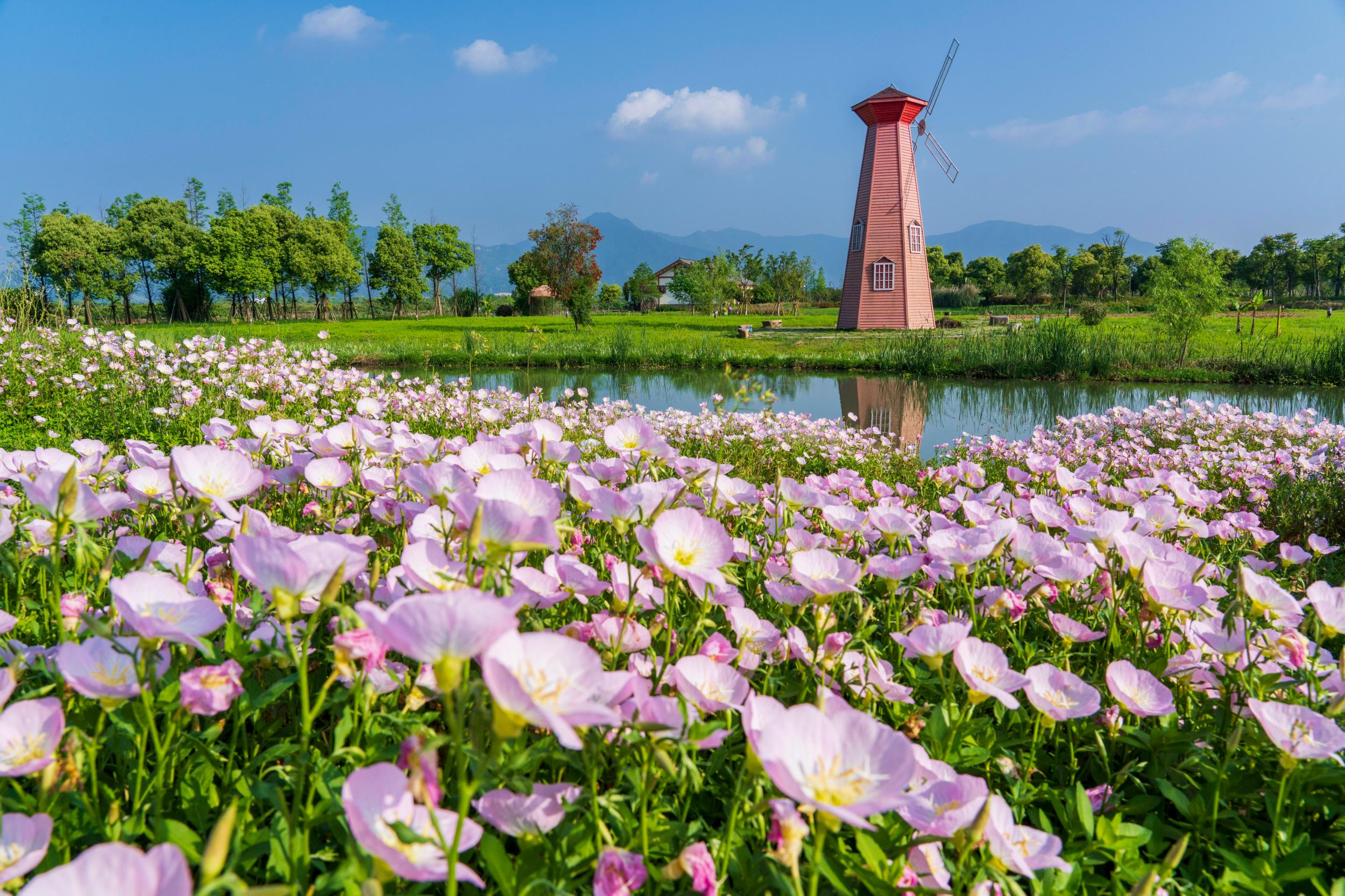 三垟湿地五福源风景图片