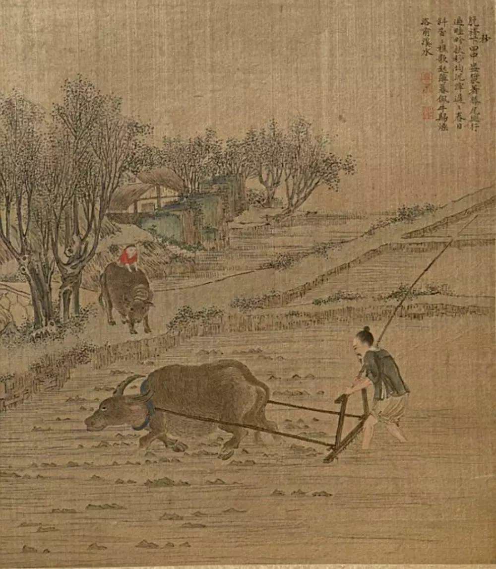 中国一路狂飙的古代农业史