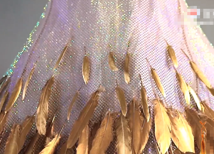 2020年金鹰女神礼服,金色羽毛插满裙尾,但却被吐槽"一地鸡毛"