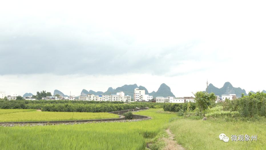 【千名记者一线行】象州大乐镇:贫困户全部喜圆安居梦