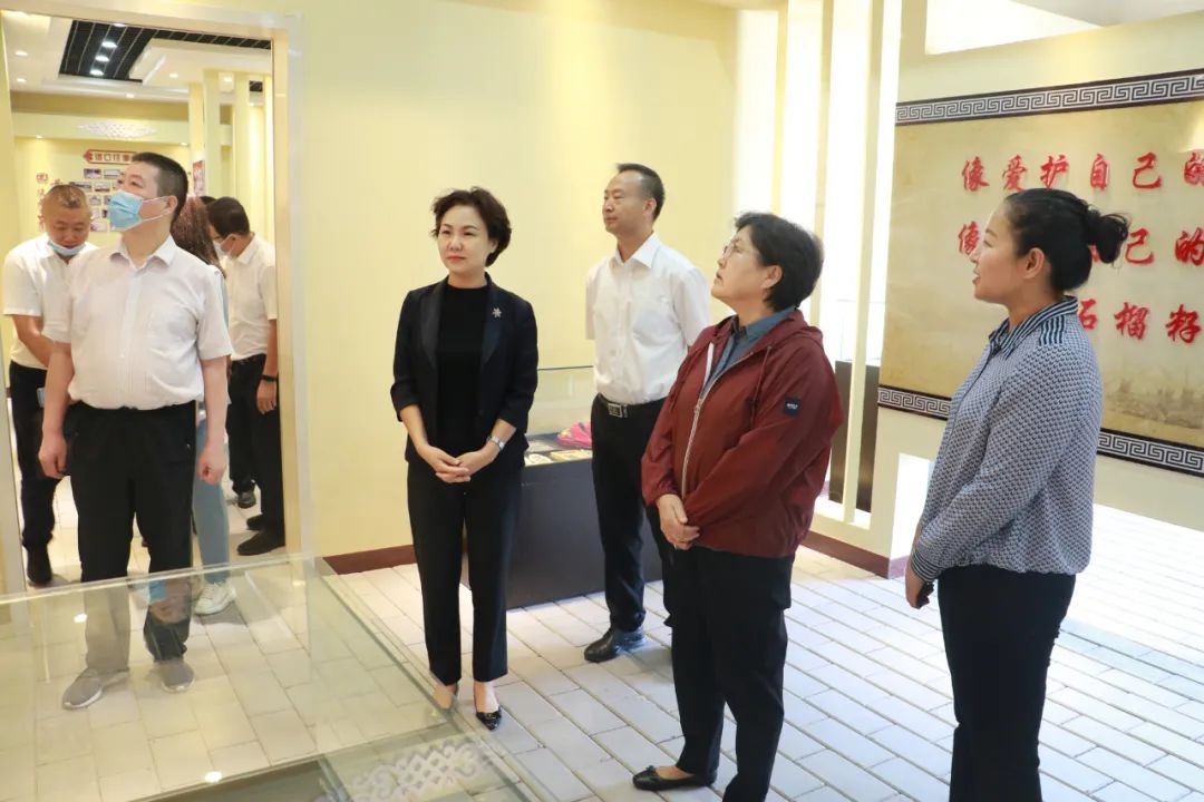 自治区生态环境厅党组书记,厅长杨劼来我县调研指导工作