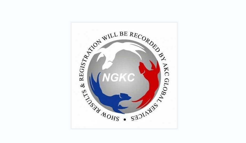 ngkc和cku哪个含金量更高一些?