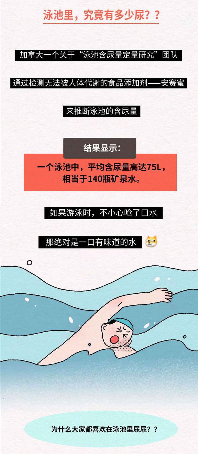 游泳時為什麼憋不住尿?漫畫揭曉,多數人中招了