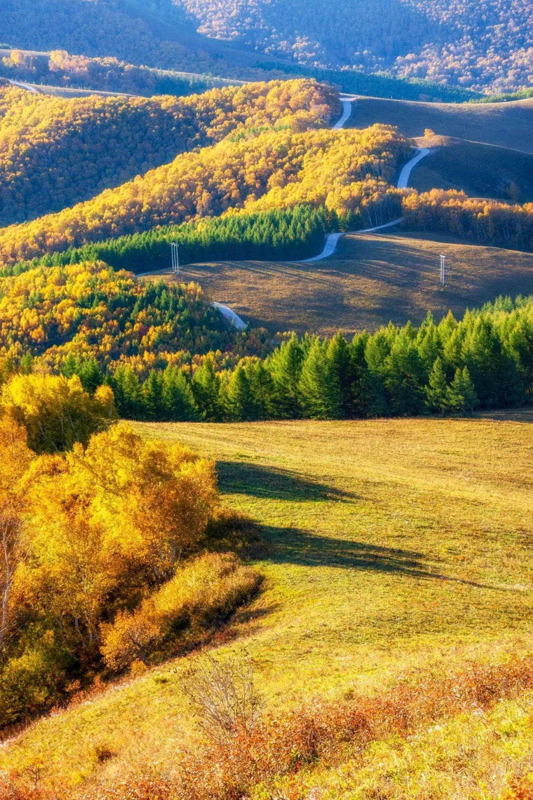 挖到了距离北京最近的大草原!自驾4h拥抱大自然,国庆去刚好!
