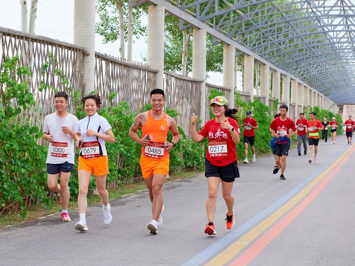 賀蘭山東麓葡萄酒產區路跑雙季賽29日開跑