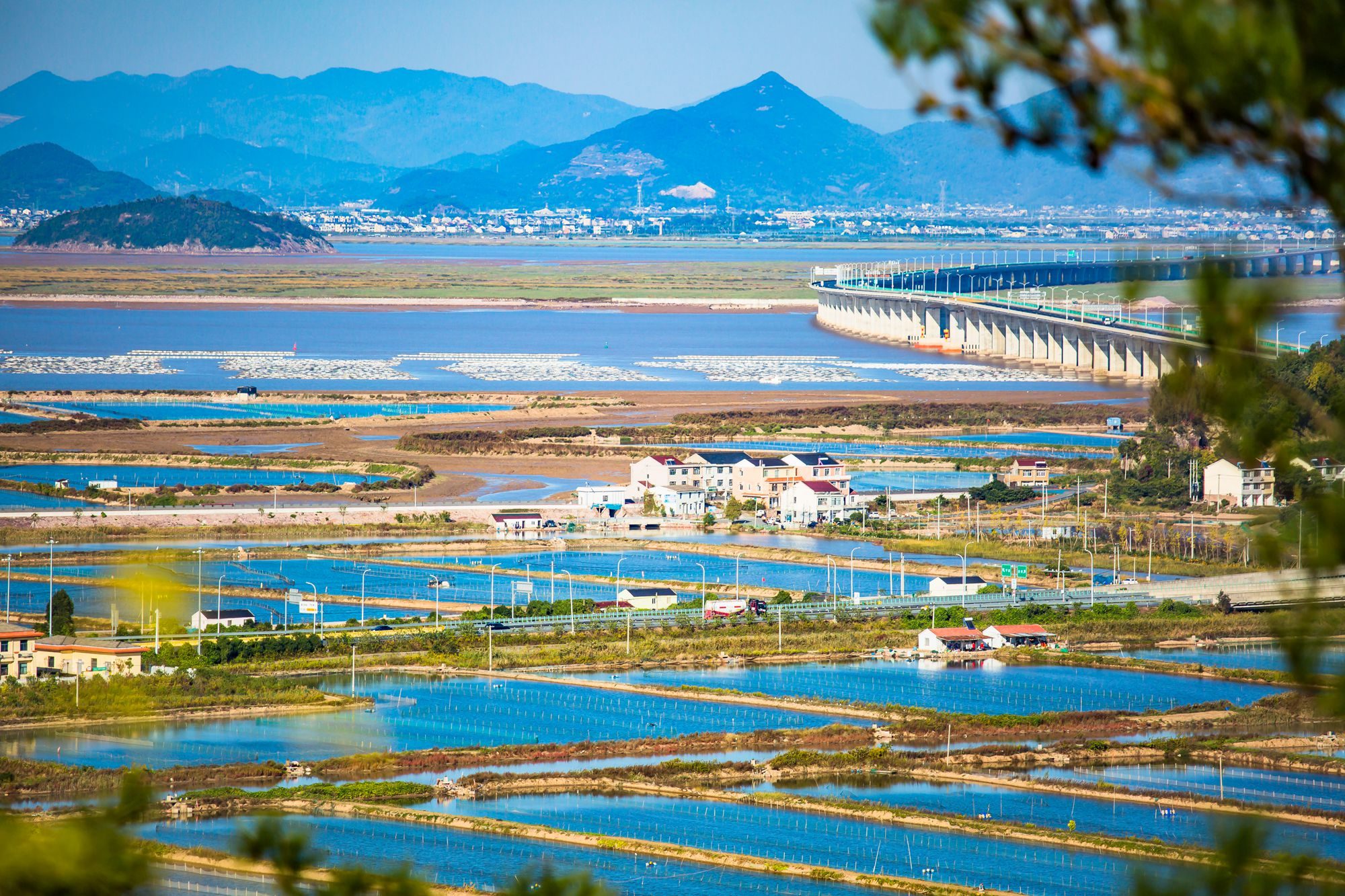 浙江蛇蟠岛旅游景点图片