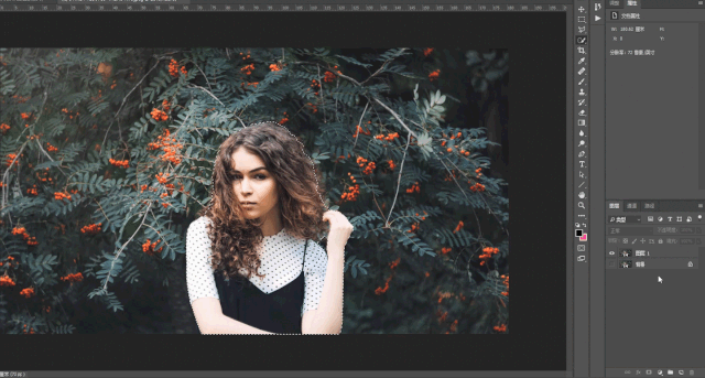 ps原创教程|虚化背景(平面背景篇)附件下载文章软件