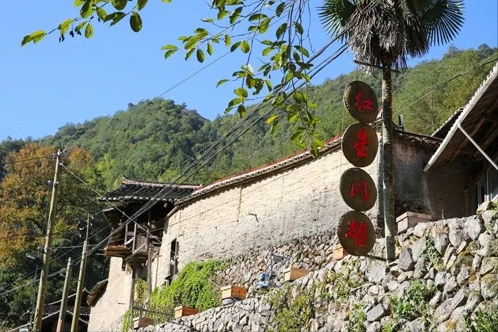 探村丽水庆元|白柘洋村,红色文化浓郁,古朴山居静美